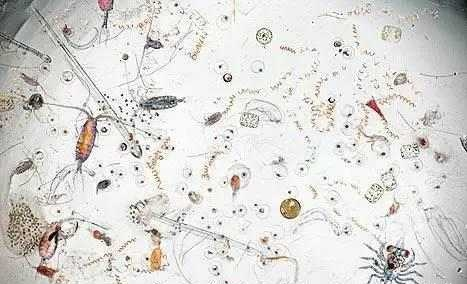 1652166441992331.png 圖片1.png