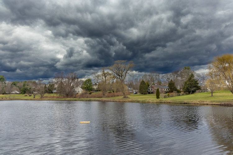 在線污泥濃度電極 在線污泥濃度電極