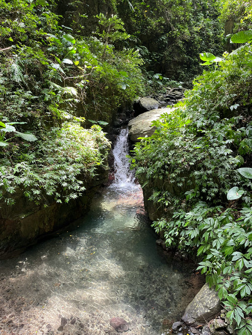 總銅水質在線分析儀系統(tǒng)